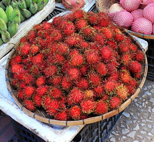 LAOS, Luang Prabang, Morning Market, fruit stall, Rambutan fruit, LAO378JPL 330