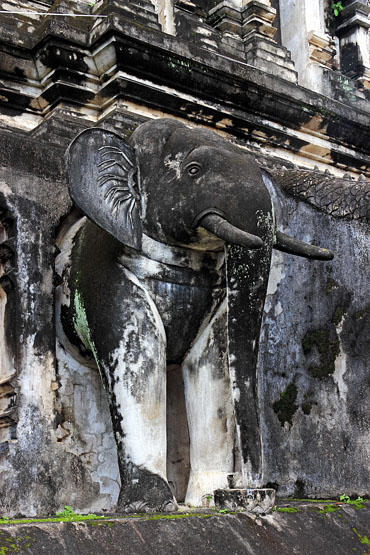 Northern Thailand, CHIANG MAI, Wat Chiang Man, elephant sculptures in stupa, THA4977JPL  A  370