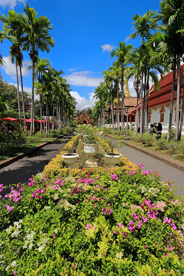 Northern Thailand, CHIANG MAI, Wat Phra Sing, complex, gardens, THA4733JPL  370