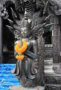 Northern Thailand, CHIANG MAI, Wat Sri Suphan, ubisot, THA4800JPL  320 deep