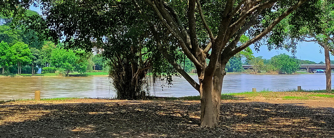Northern Thailand, CHIANG RAI, Mae Kok River, view from Legend Hotel, THA5767JPL M 1120