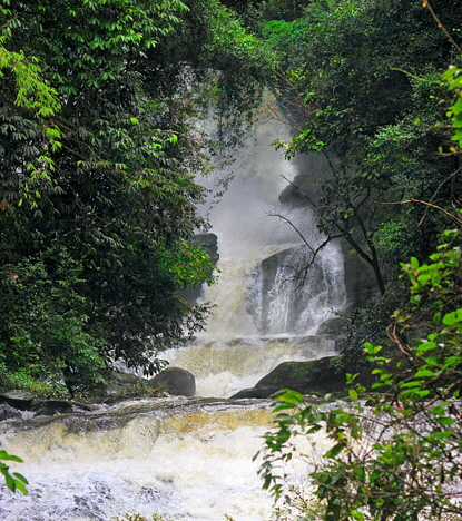 Northern Thailand, Doi Inthanon National Park, SIRITHAN WATERFALLS, THA5427JPL A  415