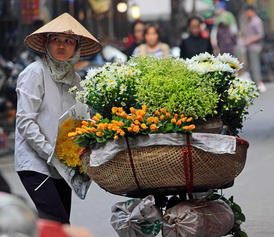 Vietnam, HANOI, Old Quarter, Street Vendor, flower seller, VT1504JPL A 700