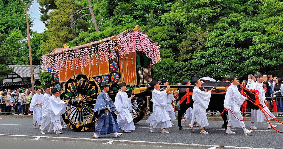 Japan, KYOTO, Aoi Matsuri Festival procession, Ox Cart with Wisteria flowers, 15 May 2024, JPN843JPL M 950