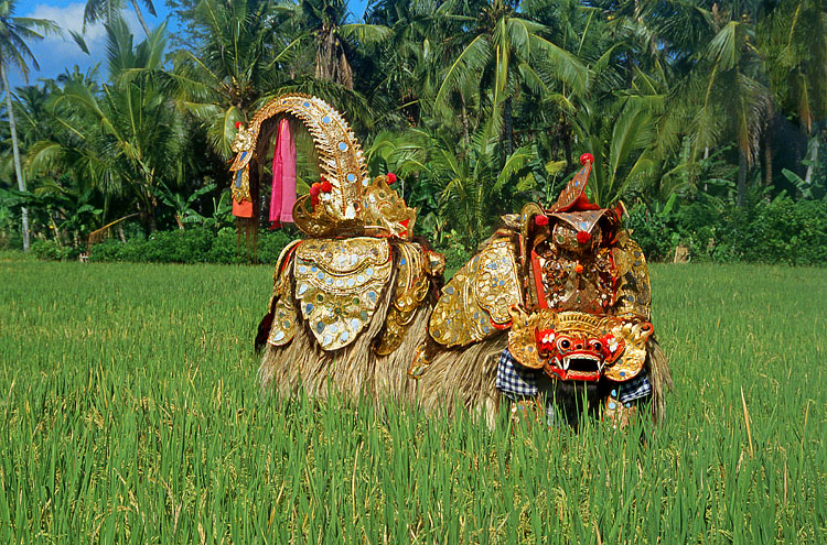 Indonesia, BALI, Classical Barong dancer, in rice field, BAL1322JPL A 750