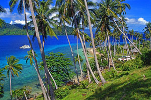 (Matangi Island, seascape through coconut trees, FIJ555JPL 300