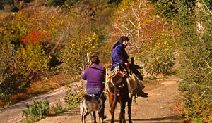 Autumn in Crete