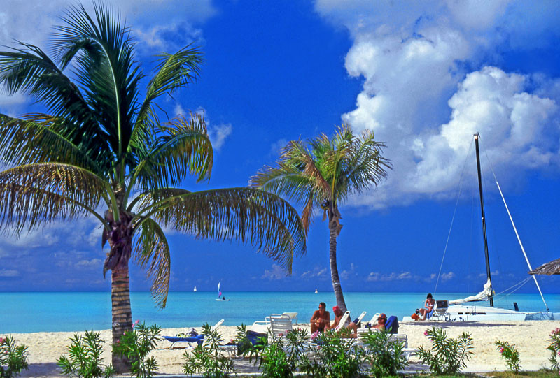 ANTIGUA, Jolly Beach, coconut trees and sunbathers, ANT748JPL A 800
