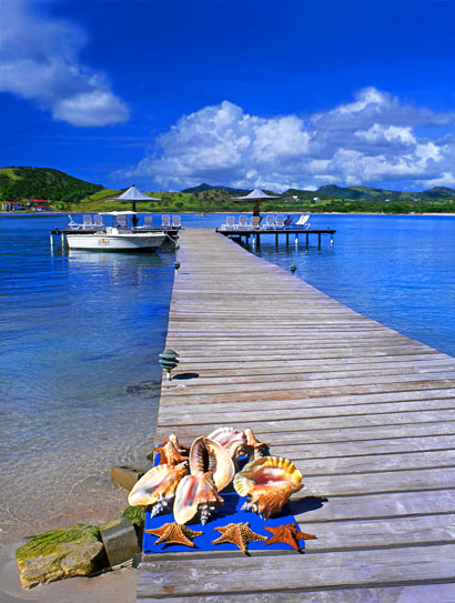 ANTIGUA, Mamora Bay, pier and conch shells, star fish, ANT991JPL A 410