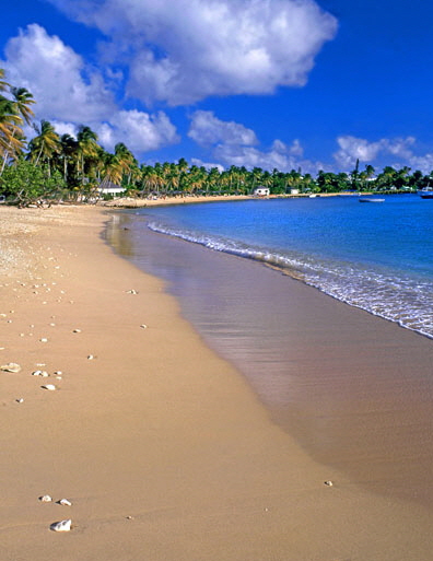 ANTIGUA, Morris Bay beach (near Curtain Bluff), ANT688JPL A 547 deep