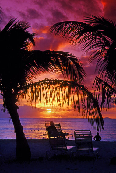 ANTIGUA, sunset and sea view, coconut trees in silhouette, ANT1321JPL A 569 deep