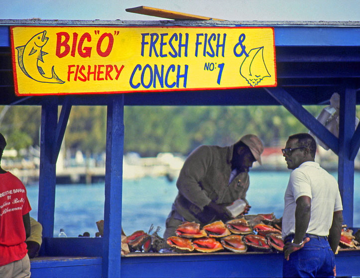 BAHAMAS, Nassau, Potters Cay, Conch shellfish stall, BAH187JPLA 560 deep