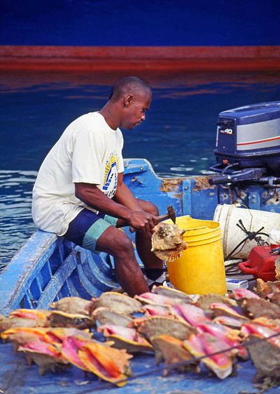 BAHAMAS, Nassau, Potters Cay, fisheman cleaning conch shells, BAH177JPLA 400