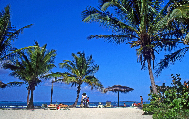 BAHAMAS, New Providence Island, Cable Beach and palm trees, BAH232JPLA 790
