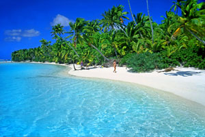 COOK ISLANDS, Aitutaki Islands, Tapuaetai (One Foot Island), beach and coconut trees, CI852JPL A 300