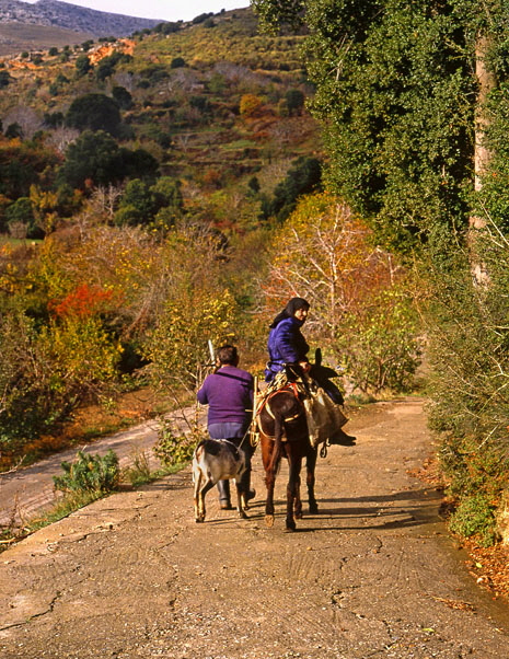 Lasithi area, farmer, and wife on donkey   465 wide