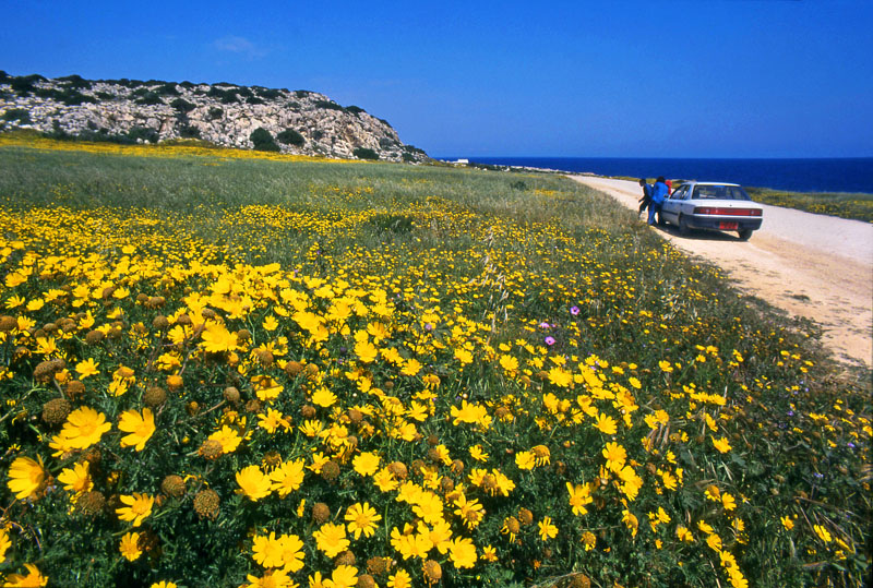 CYPRUS, Aiya Napa area, National Park scenery (Cape Gkreko), CYP248JPL A 800