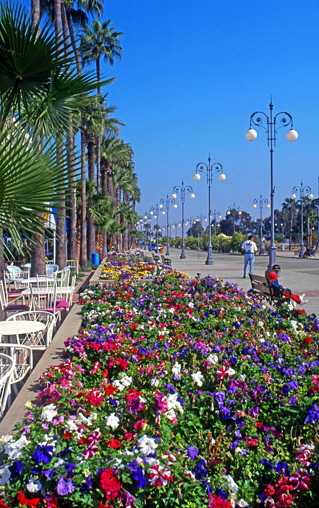 CYPRUS, Larnaca, promenade lined with flower beds and palm trees, CYP142JPL 6000 A 508 deep