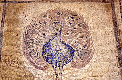 CYPRUS, Paphos, Kato Paphos, House of Dionysos, mosaic of Peacock, CYP242JPL A 410