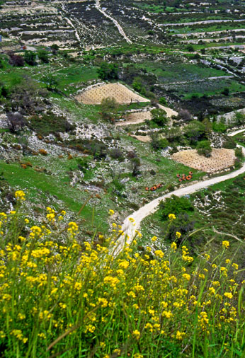 CYPRUS, Troodos Mountain scenery, terraced farmed land, CYP362JPL A 506 deep