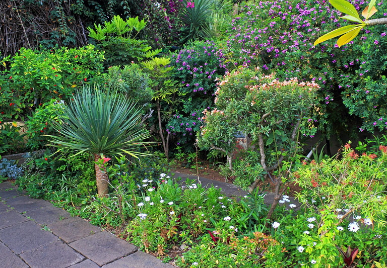 Canary Islands, TENERIFE, Puerto de la Cruz, Sitio Litre Garden, SPN1594JPL 800
