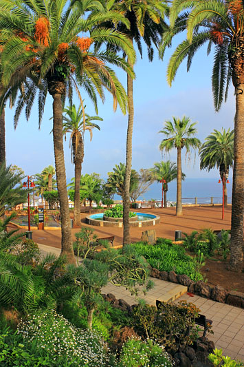 Canary Islands, TENERIFE, Puerto de la Cruz, Taoro Park, SPN1720JPL 533 deep
