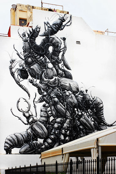 Canary Islands, TENERIFE, Puerto de la Cruz, old town area, street art, mural, SPN1694JPL 370
