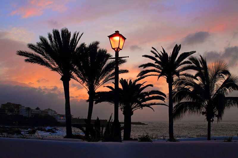 Canary Islands, TENERIFE, Puerto de la Cruz, sunset view from promenade, SPN1529JPL 800