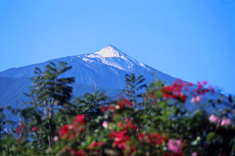 Canary Isles, TENERIFE, Mount Teide, SPN277JPL A 800