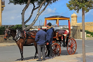MALTA, Valletta, horse drawn carriage rides for tourists, MLT973JPL 380