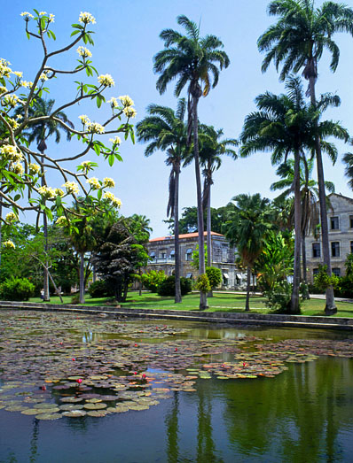 BARBADOS, Codrington College and gardens, BAR558JPL A 398