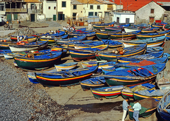 MADEIRA, Camara de Lobos, village and fishing boats on shore, MAD257JPL - A 700
