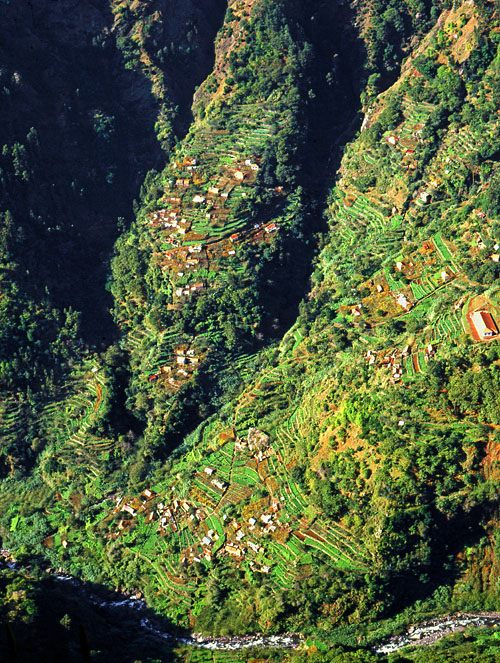 MADEIRA, Curral Das Freiras, village and terraced farmed land, MAD125JPL - A cropped 500