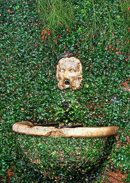MADEIRA, Funchal, Quinta Das Cruzes, archaeological gardens, small fountain, MAD1164JPL - A 265