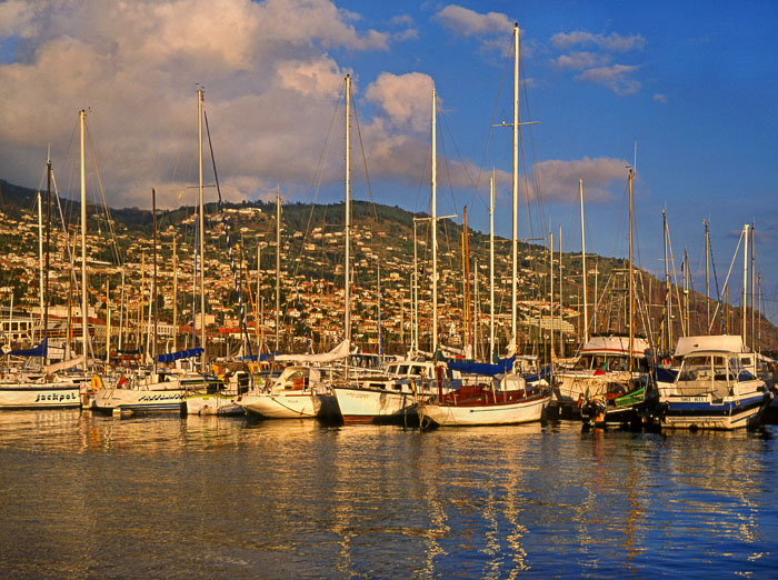 MADEIRA, Funchal, evening light over town and marina, MAD1017JPL  A 700