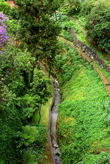 MADEIRA, Rebeiro Frio, walking paths and levada, MAD176JPL A 528 deep