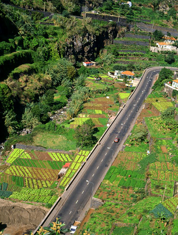 MADEIRA, road through farmed land, MAD127JPL  A 350