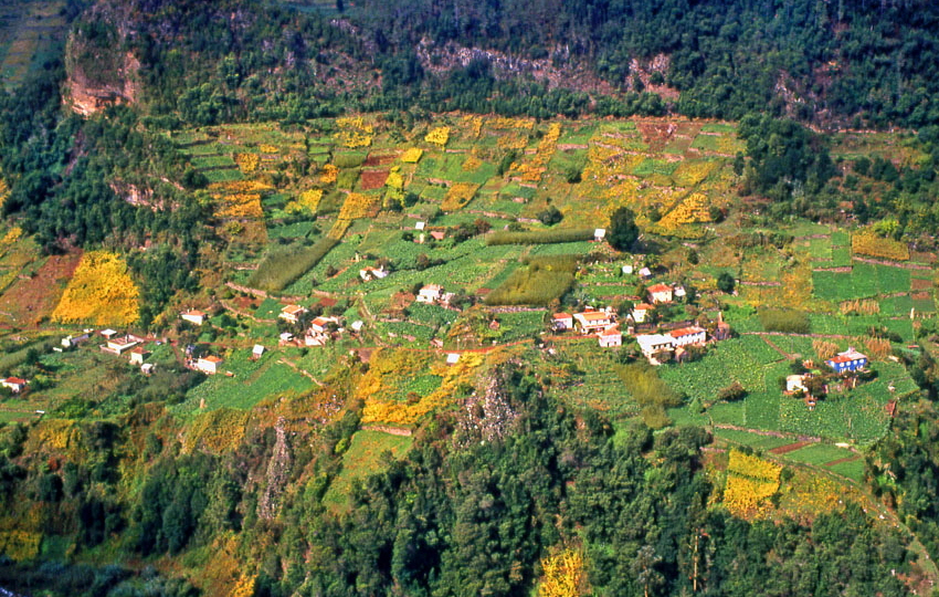 MADEIRA, small villages and terraced farmed land, MAD166JPL  A 850