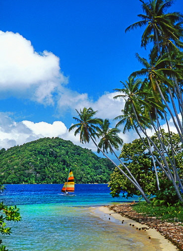 FIJI, Taveuni, Matagi (Matangi) Island, seascape, sailboat and coconut trees, FIJ964JPL A 370