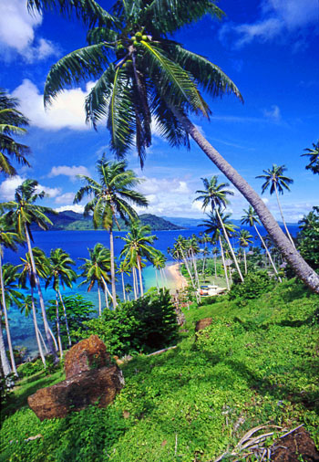FIJI, Taveuni, Matagi (Matangi) Island, seascape through coconut trees, FIJ620JPL A 350