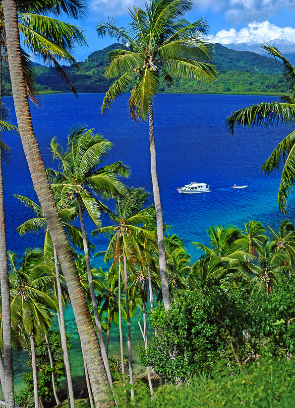 FIJI, Taveuni, Matagi (Matangi) Island, seascape through coconut trees, FIJ786JPL A 595