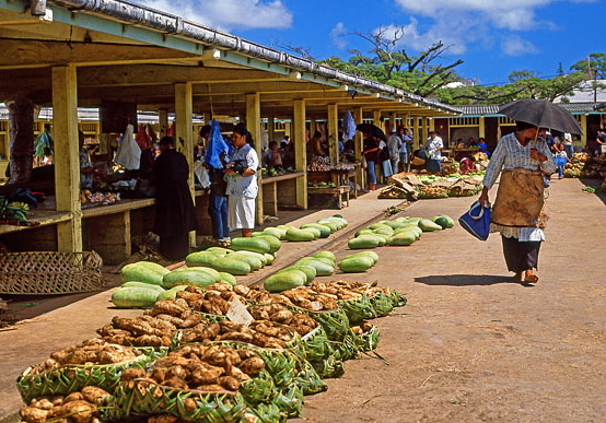 TONGA, Nukualofa, Main Market with gourds and yams for sale, TON149JPL A 600