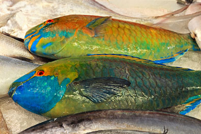 Thailand, PHUKET, Rawai, fishing village, Seafood Market, Parrot Fish, THA3852JPL 4000 A 395