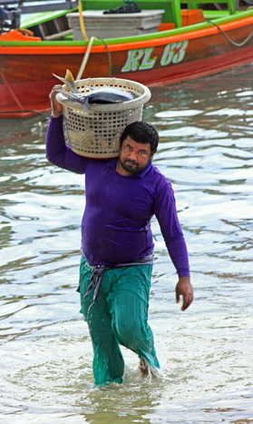 Thailand, PHUKET, Rawai, fishing village, fisherman with his catch, THA3999JPL 4000 A 467 deep