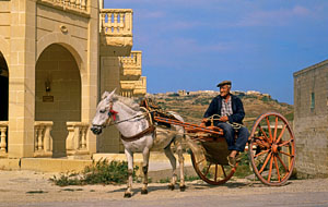 Malta, GOZO, farmer in donkey drawn cart, MLT505JPL 300